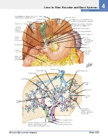 Frank H. Netter, MD - Atlas of Human Anatomy (6th ed ) 2014, page 314